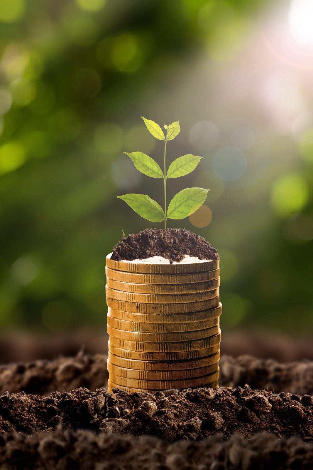 Caffè progetto sostenibilità